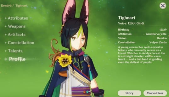 What Animal is Tighnari in Genshin Impact