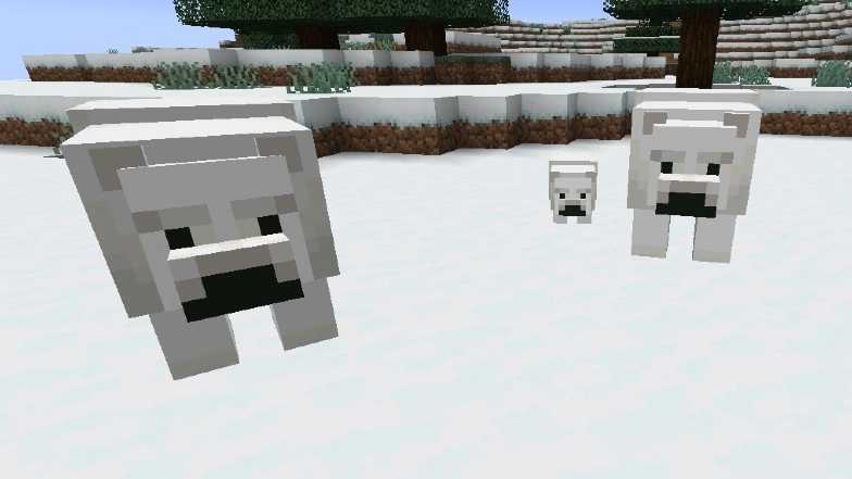 How to Breed Polar Bears Minecraft Bedrock Edition